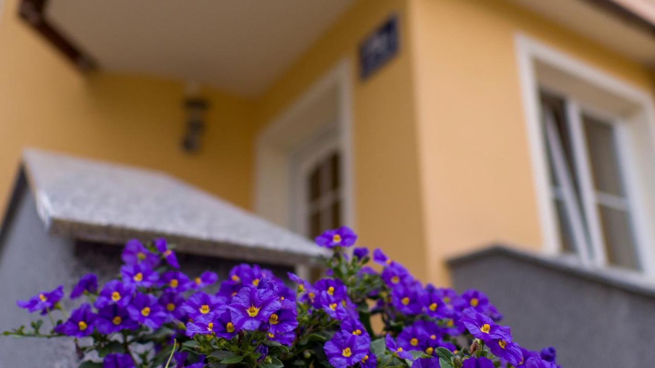 Apartment Claudia Salzburg